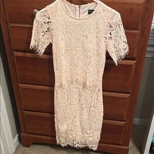 Blush Lace Sheath Dress